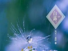 白露有什么来历？2020年白露节气这天需要注意什么？