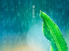 2020年立秋是几月几日？立秋和秋分有什么区别？