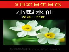 3月31日生日花-小型水仙