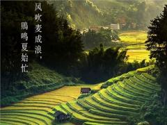 2020年芒种当天结婚吉利吗,2020不同地区入梅出梅时间
