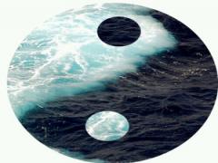 阴阳和合的论述