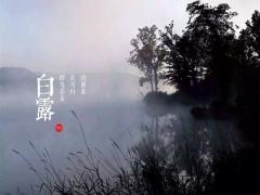 白露是什么日子？不同地区的人都是怎么过白露的？
