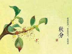 2020鼠年秋分适不适合装修？秋分节气的相关知识
