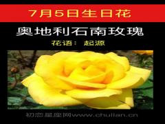 7月5日生日花-奥地利石南玫瑰