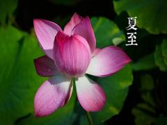2020年夏至是哪天？夏至这天下雨意味着夏天不热吗？