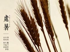 处暑有什么习俗,2020年8月22日处暑开业好吗？