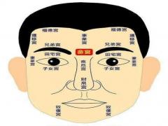 命宫无主星，空宫的特性
