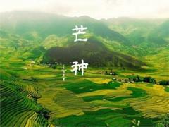 2020芒种禁忌什么,2020年6月5日芒种搬家好不好？