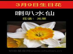 3月9日生日花-喇叭水仙