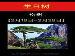 12月26日诞生石-绿宝石