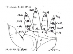 十二地支排掌法