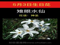 5月3日生日花-雉眼水仙