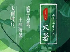2020年大暑黄历不能做什么,2020大暑会出现高温吗？