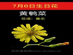 7月6日生日花-黄鹌菜