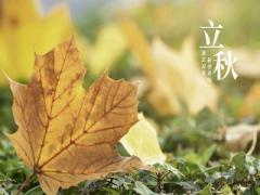 2020立秋是什么时候？立秋节气的含义是什么？