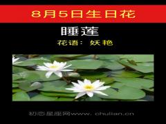 8月5日生日花-睡莲