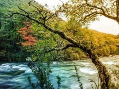 2020年8月22处暑适不适合签约？2020年8月签约吉日