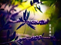 2020芒种是什么日子？芒种节气的特点是什么？