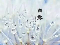 2020年白露是几点几分？白露节气有什么特点？