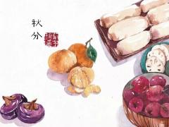 秋分是秋天过了一半的意思？2020秋分后一天是吉日吗？