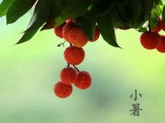 小暑三侯分别是什么,2020年7月6日小暑吉时宜忌查询！