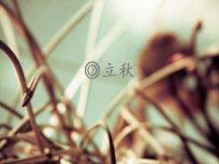 2020庚子鼠年立秋是几号？立秋比大暑还热吗？