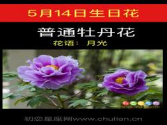 5月14日生日花-普通牡丹花