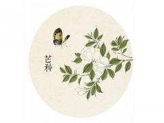 2020芒种前一天可以结婚吗？芒种后十天指哪天？