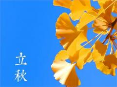 2020年8月7日立秋适合上坟祭祖吗,今年什么时候入秋？