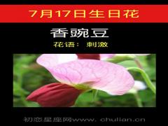7月17日生日花-香豌豆