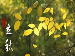 2020立秋是几点几分,2020年8月7日立秋结婚好吗？