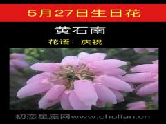 5月27日生日花-黄石南
