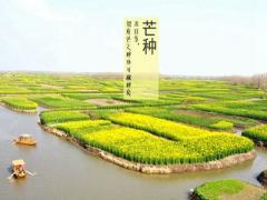 2020年6月5日芒种是吉利日子吗？芒种节气吃什么？