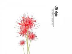 白露是什么生肖？白露节气吃什么养生？