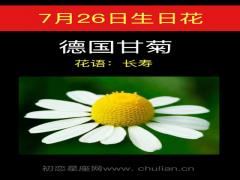 7月26日生日花-德国甘菊