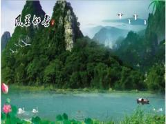 家中挂什么画才最旺你