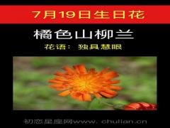 7月19日生日花-橘色的山柳兰
