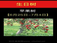 6月25日-7月04日(苹果树)
