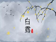 白露的由来是什么？2020年白露时辰吉凶分析