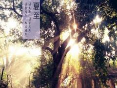 2020年夏至是农历什么时候？夏至这天有什么特点？