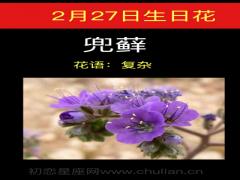 2月27日生日花-兜藓
