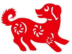 82年狗本命年怎么转运-你编告诉该如何转运！