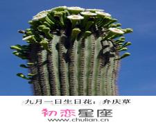生日花语·九月