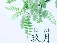农历九月又叫什么月？十二个月份别称分别是什么？