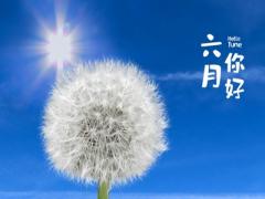 2020年农历六月有什么节日分别是哪几天？