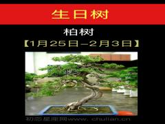 12月23日诞生石-石榴石