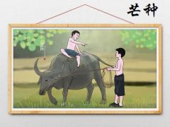 2020年芒种是什么时候？芒种后积雨骤冷三绝什么意思？