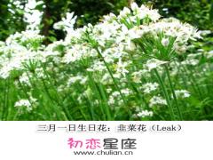 生日花语·三月