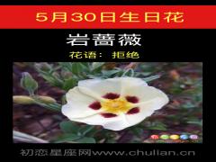 5月30日生日花-岩蔷薇