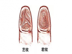 指纹算命二十五-簸箕、簸箕、斗、斗、斗
